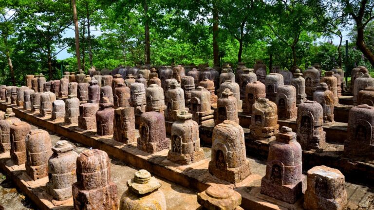 देवदत्त पटनायक का कॉलम | स्तूप का परिवर्तन