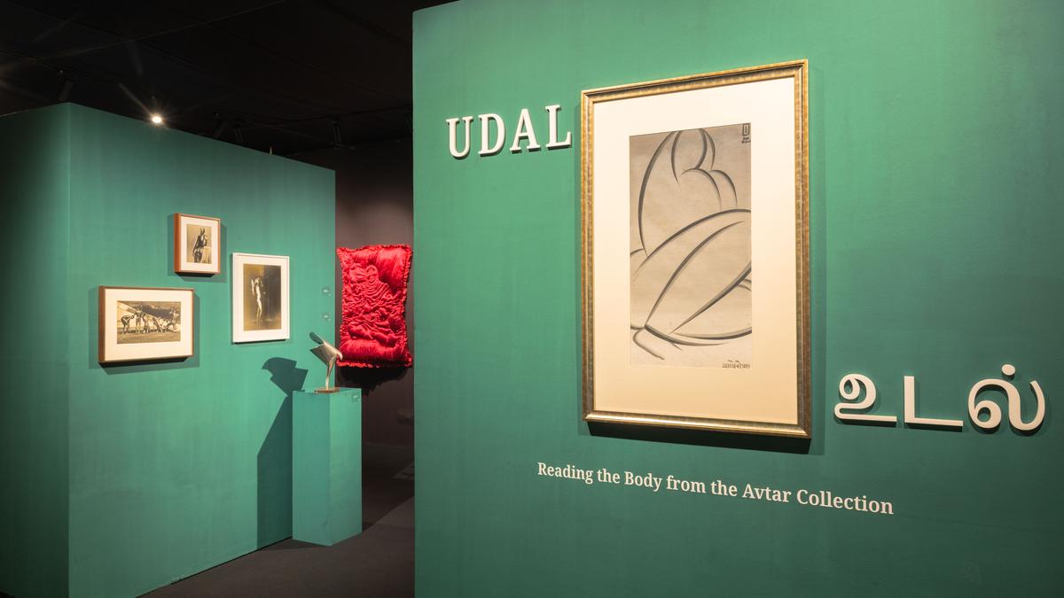 शरीर का अनावरण: चेन्नई में एक कला प्रदर्शनी में कला, अंतरंगता और प्रतिरोध प्रतिच्छेद