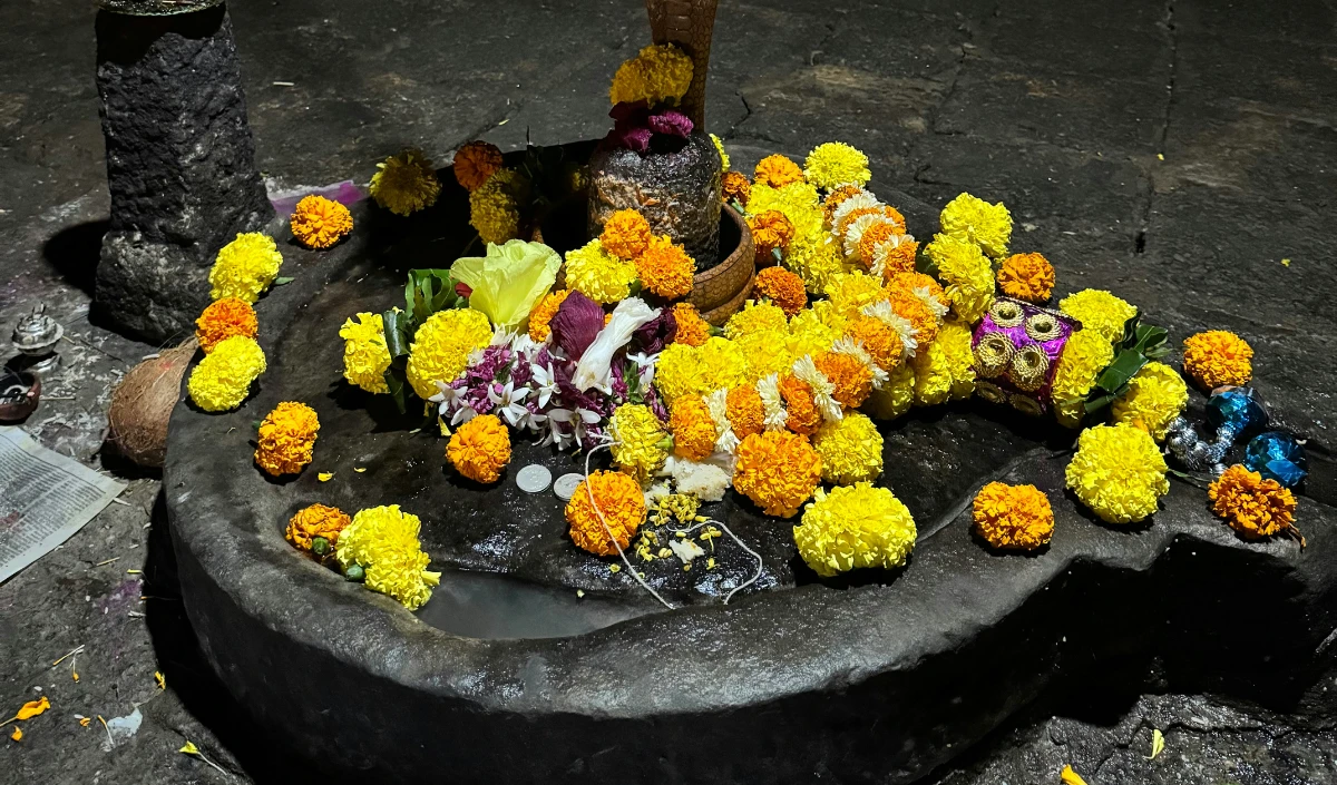 साल 2026 की पहली पौष पूर्णिमा: इन 5 चीजों से करें शिवलिंग की पूजा, शिव और हरि दोनों होंगे प्रसन्न