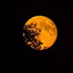 सुपरमून 2025: साल के आखिरी ठंडे चंद्रमा का सर्वश्रेष्ठ शॉट कैसे देखें और कैप्चर करें