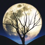 2026 की पहली पूर्णिमा आज रात? वुल्फ मून की तारीख, ऐतिहासिक महत्व और जनवरी की पूर्णिमा अद्वितीय और उज्ज्वल क्यों है, इसकी खोज करें