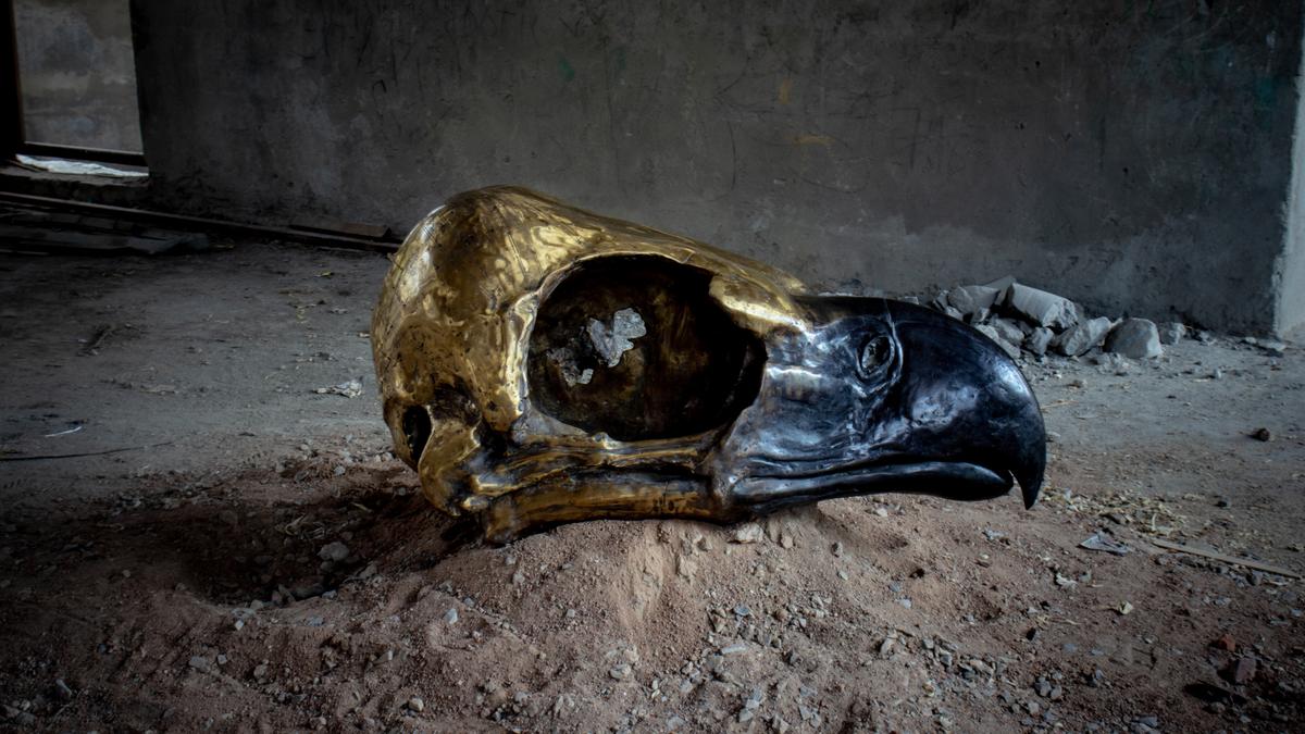 इंडिया आर्ट फेयर 2026 में माइसेलियम से मियावाकी जंगलों तक