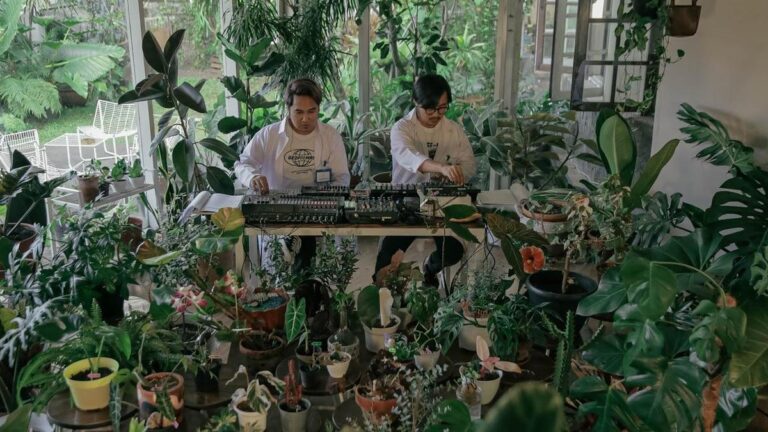 इंडोनेशियाई बैंड बॉटलस्मोकर अपने मधुर संगीत पर