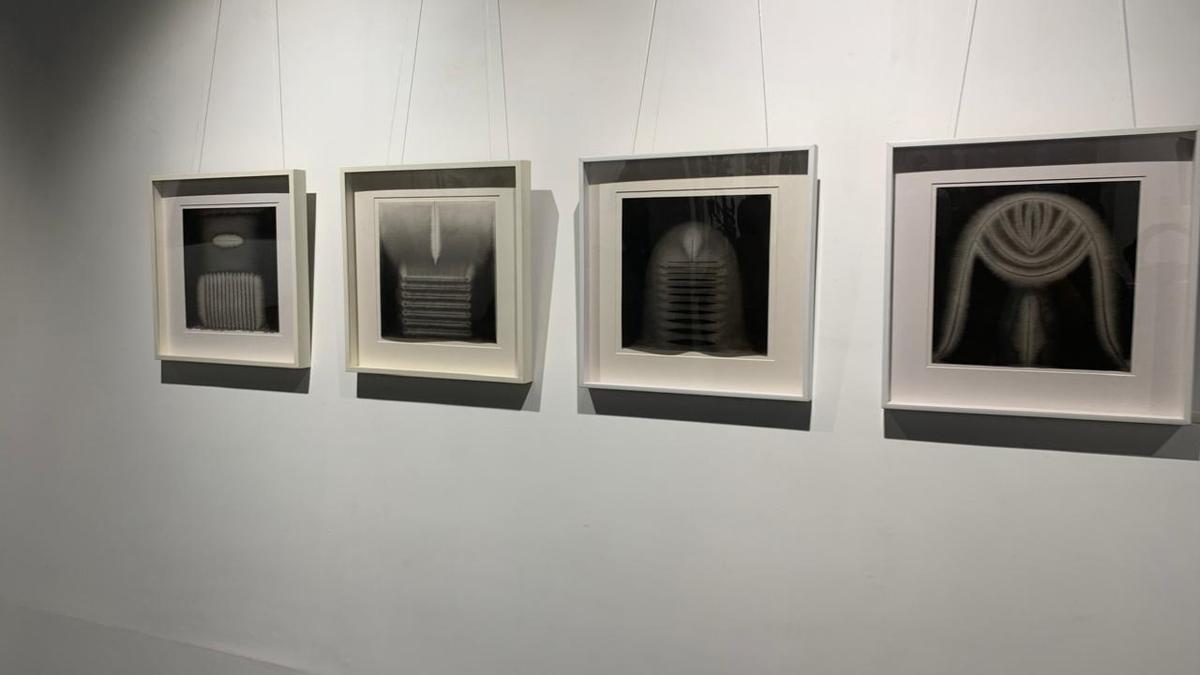 इनर वाइब्स’26 काले, सफेद और भूरे रंग की भाषा के माध्यम से 54 अमूर्त कलाकारों को एक साथ लाता है