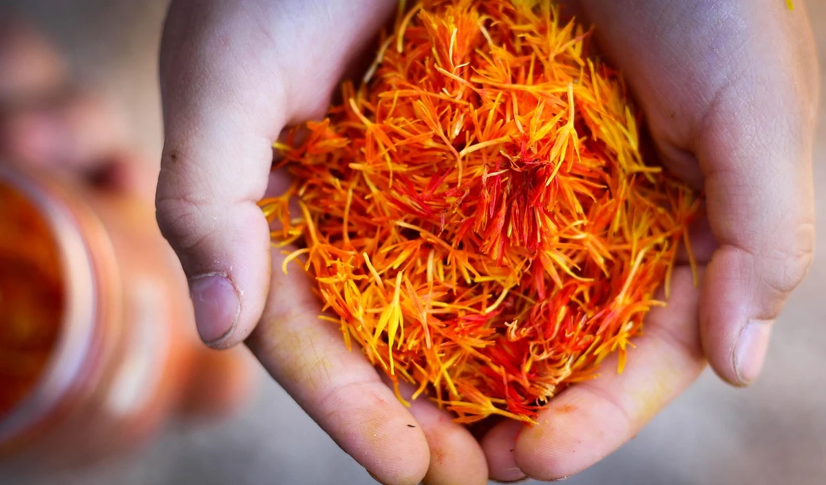 गर्भावस्था की तीसरी तिमाही: मूड स्विंग्स और नींद की समस्याओं के लिए केसर रामबाण इलाज है।