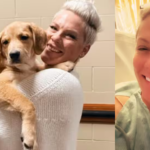 गायक-गीतकार पिंक गर्दन की सर्जरी से पहले अस्पताल में भर्ती, उपचार और सकारात्मकता का संदेश साझा किया