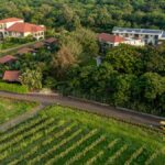 घरेलू संगीत पर फोकस के साथ सुलाफेस्ट 2026 अपने 15वें संस्करण के लिए नासिक लौट आया है