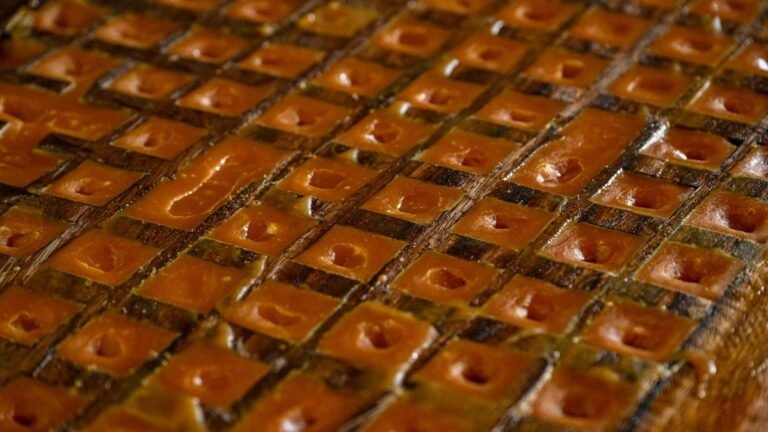 तमिलनाडु | पोंगल, गुड़ और एक लुप्त होती परंपरा