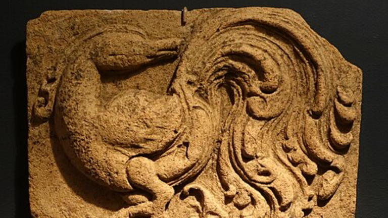 देवदत्त पटनायक का कॉलम | क्या हम्सा भारतीय हंस है या यूरोपीय हंस?