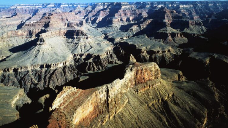 प्रश्नोत्तरी | रविवार की सुबह की तरह आसान: 11 जनवरी ने हमें क्या दिया है?