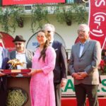 Google Preferred Source