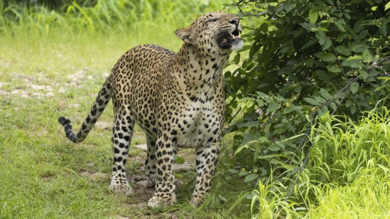 Google Preferred Source