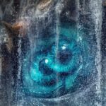 Google Preferred Source