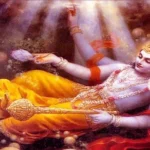 Shattila Ekadashi 2026