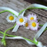 Love Horoscope For 21 February 2026