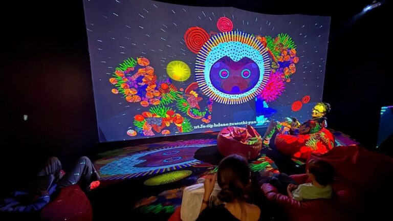 एलायंस फ्रांसेइस मद्रास में जूली स्टीफन चेंग द्वारा फॉर्च्यून टेलर एक इंटरैक्टिव प्रक्षेपण है जो दर्शकों को प्रकृति की आत्माओं के आमने-सामने रखता है।