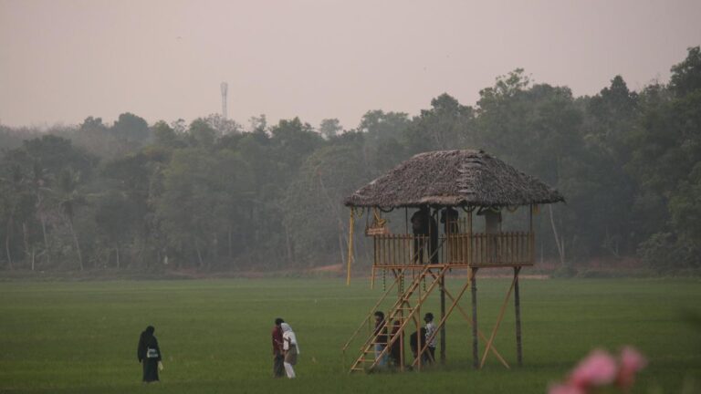 कैसे पिरप्पमांकड ने खुद को तिरुवनंतपुरम के पर्यटन मानचित्र पर रखा