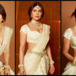 प्रियंका चोपड़ा ने बहुप्रतीक्षित 'वाराणसी' से पहले 'डॉन 3' और 'कृष 4' का संकेत दिया