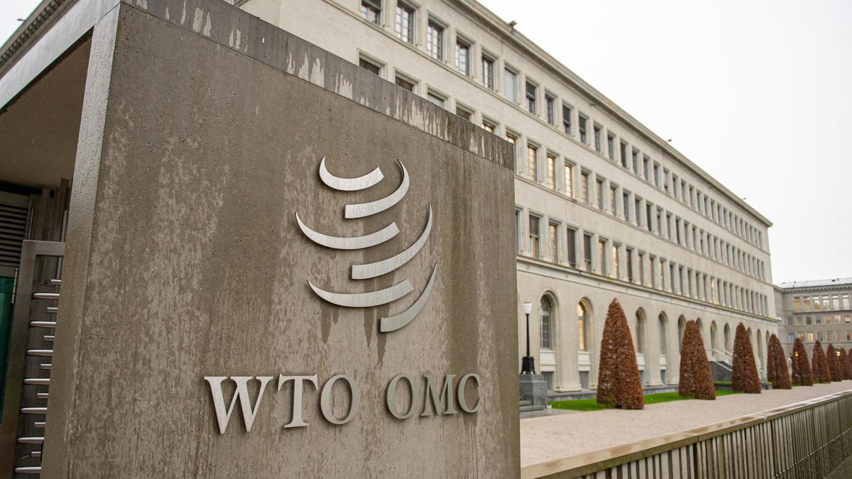 WTO के MC14 में क्या दांव पर है? | व्याख्या की