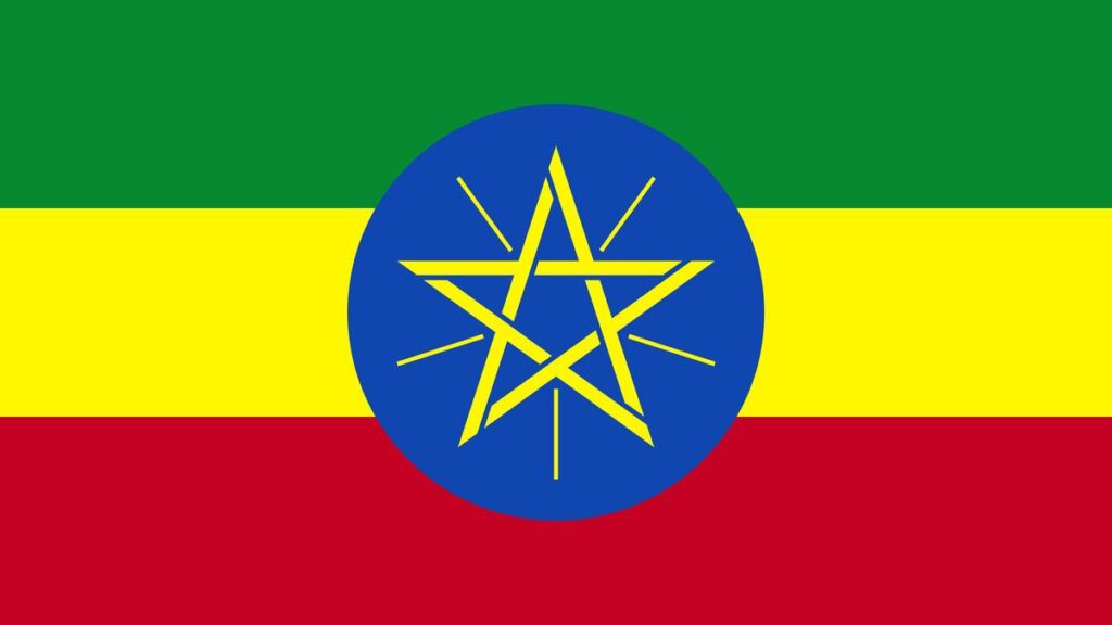 इथियोपिया के विद्रोहियों ने संक्षिप्त निष्पादन किया; महिलाओं, लड़कियों से सामूहिक बलात्कार: एमनेस्टी इंटरनेशनल