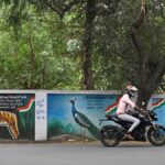 कोयंबटूर की सेंट्रल एकेडमी फॉर स्टेट फॉरेस्ट सर्विस की दीवारों पर पक्षियों, जानवरों और कीड़ों की पेंटिंग जीवंत हो उठती हैं