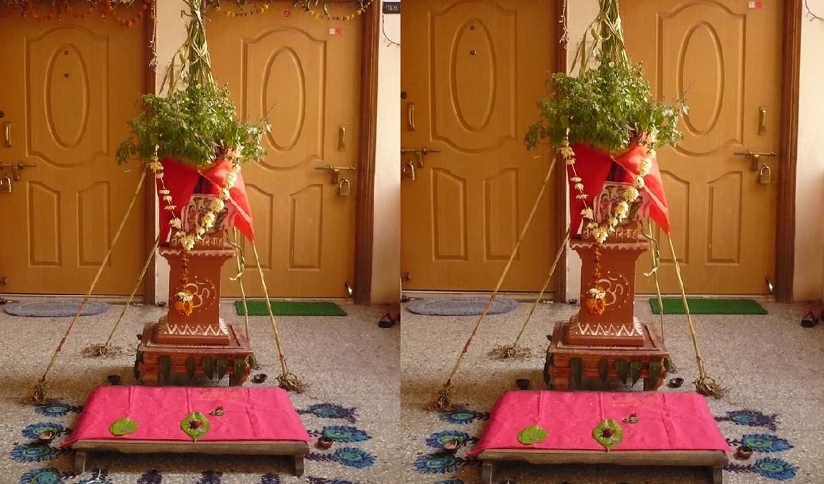 तुलसी पूजा: तुलसी के पौधे पर चुनरी चढ़ाना शुभ है या अशुभ? जान लें पूजा से जुड़े ये खास नियम, नहीं तो करेंगे बड़ी गलती