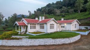 पेमब्रोक में चाय: कुन्नूर में 100 साल पुराने चाय बागान में एक अद्भुत अनुभव