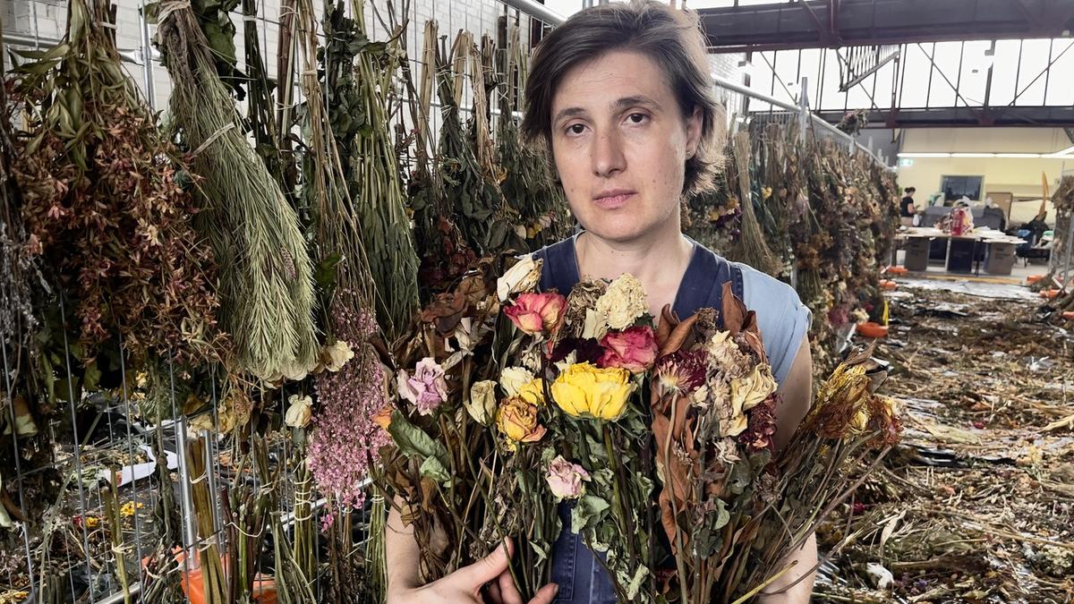 बौंडी बीच पर हमला | रक्तपात से ब्लूम तक: एक जीवित स्मारक के निर्माण के अंदर