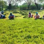 महाराष्ट्र में जमीन हड़पने के लिए इस्तेमाल की गई गलतियों को सुधारने के लिए 1.5 लाख किसानों ने हड़ताल की