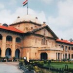 लिव-इन रिलेशनशिप में सहमति से शादीशुदा व्यक्ति अपराध नहीं: हाई कोर्ट