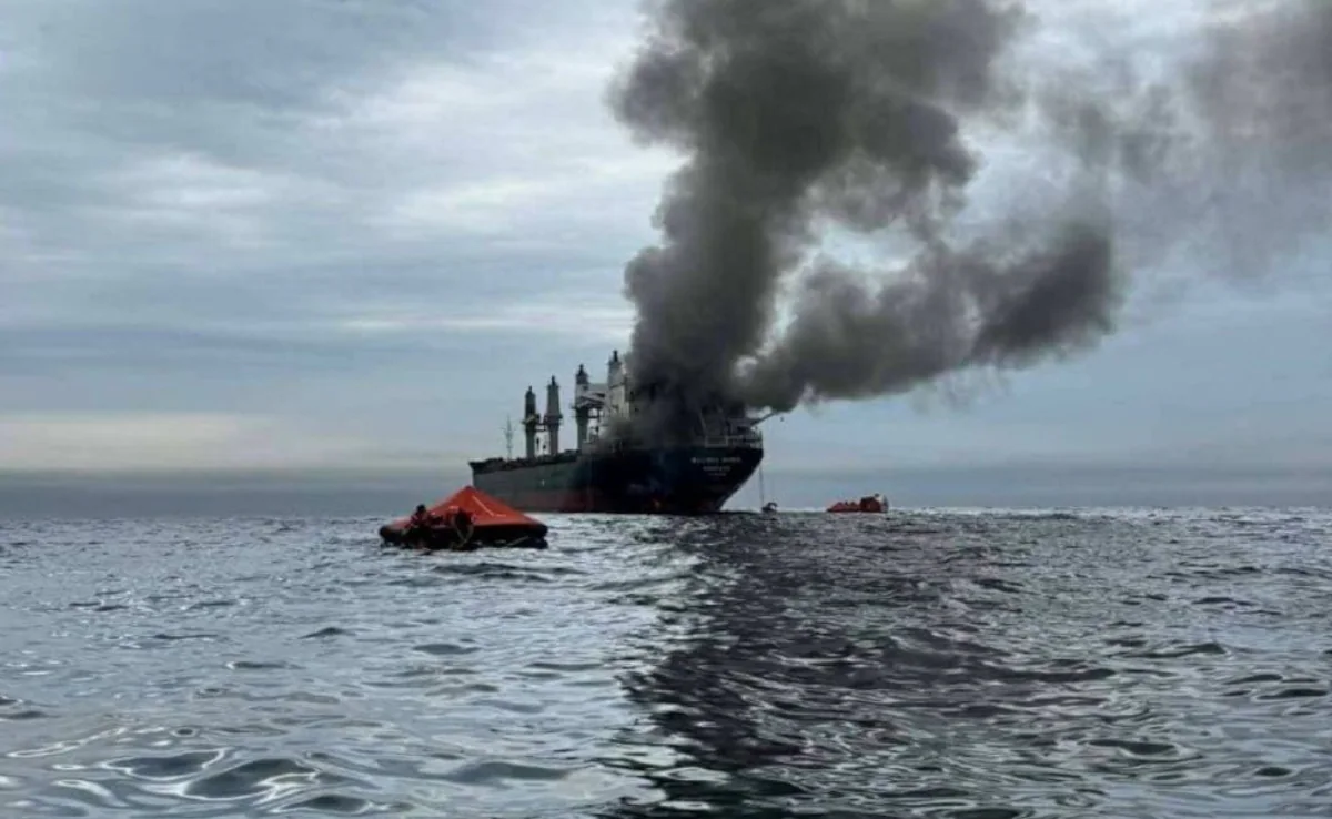 “वाणिज्यिक शिपिंग को निशाना बनाने की निंदा करें”: भारत होर्मुज जहाज पर हमला