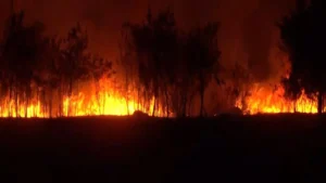 इंदौर हवाईअड्डे में आग, देवी अहिल्या बाई होल्कर हवाईअड्डे में आग, इंदौर में आग लगने की खबर- इंडिया टीवी हिंदी