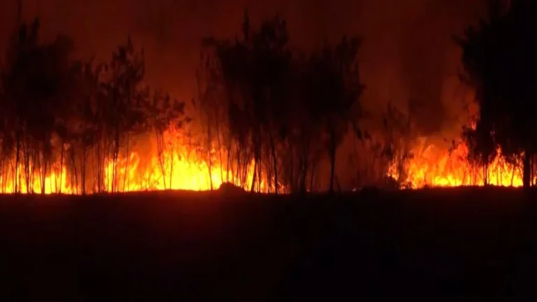 इंदौर हवाईअड्डे में आग, देवी अहिल्या बाई होल्कर हवाईअड्डे में आग, इंदौर में आग लगने की खबर- इंडिया टीवी हिंदी