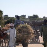 सूडान और दक्षिण सूडान में संघर्ष बढ़ने के कारण, भाग रहे नागरिक बंद सीमाओं के अंदर फंस गए हैं।