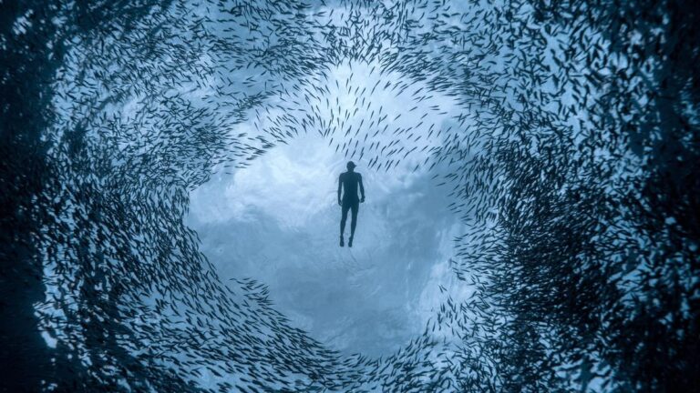 Google Preferred Source