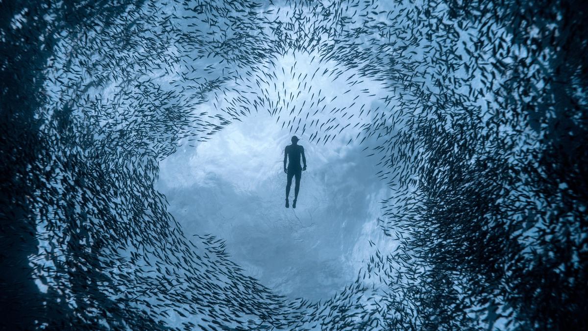 हैदराबाद में फ्रीडाइविंग कार्यशालाएँ एक ही सांस में गोता लगाने की कला का परिचय देती हैं