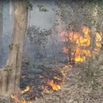 उत्तराखंड के जंगलों में 208 स्थानों पर आग लगी, जिससे 130 हेक्टेयर क्षेत्र प्रभावित हुआ