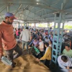 कम कीमतें, खरीद में देरी ने मध्य प्रदेश के किसानों की जेब खाली कर दी है