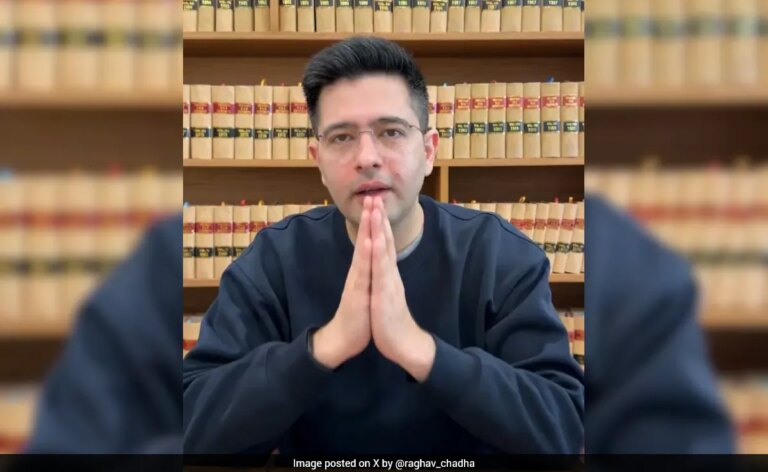 "तीन आरोप। शून्य सत्य": राघव चड्ढा बनाम AAP का उदय