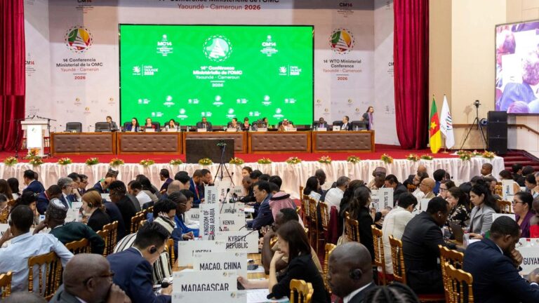 विश्व व्यापार संगठन लुप्त हो रहा है