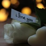 Love v
