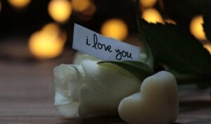 Love v