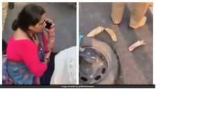 उत्तराखंड में जंगली हाथी से टकराई टीचर की स्कूटी, शहतूत के पेड़ के तीन टुकड़े