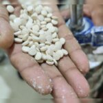 पहले कैप्टन भंडाफोड़ में, 182 करोड़ रुपये मूल्य की 227 किलोग्राम "जिहादी दवा" जब्त की गई