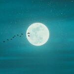 Purnima 2026 Full Moon