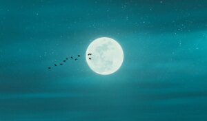 Purnima 2026 Full Moon