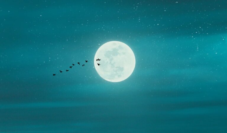 Purnima 2026 Full Moon