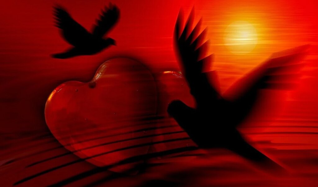 Love Horoscope For 13 June 2026