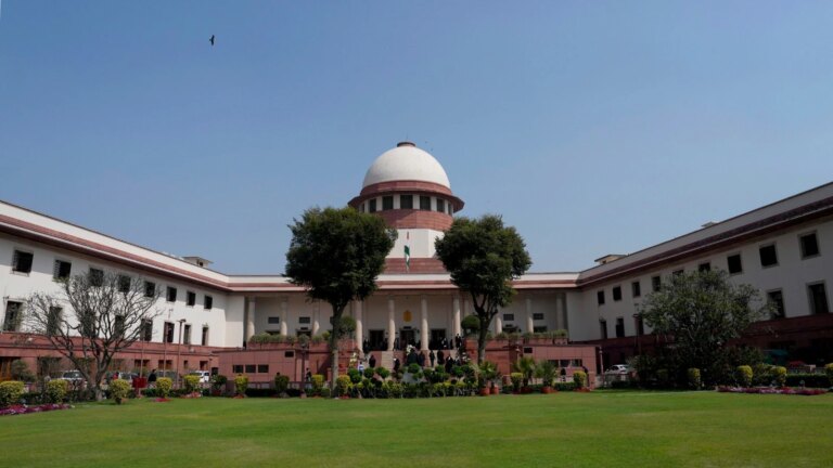 "अस्पष्ट, जंगली": सुप्रीम कोर्ट ने टीवीके विश्वास मत की सीबीआई जांच की मांग वाली याचिका खारिज कर दी