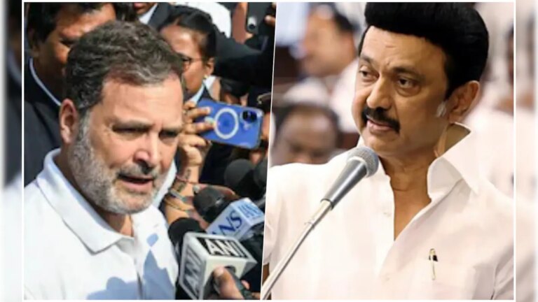 "एक बड़ा मजाक, राजनीतिक रूप से अपवित्र": डीएमके का राहुल गांधी पर चौतरफा हमला